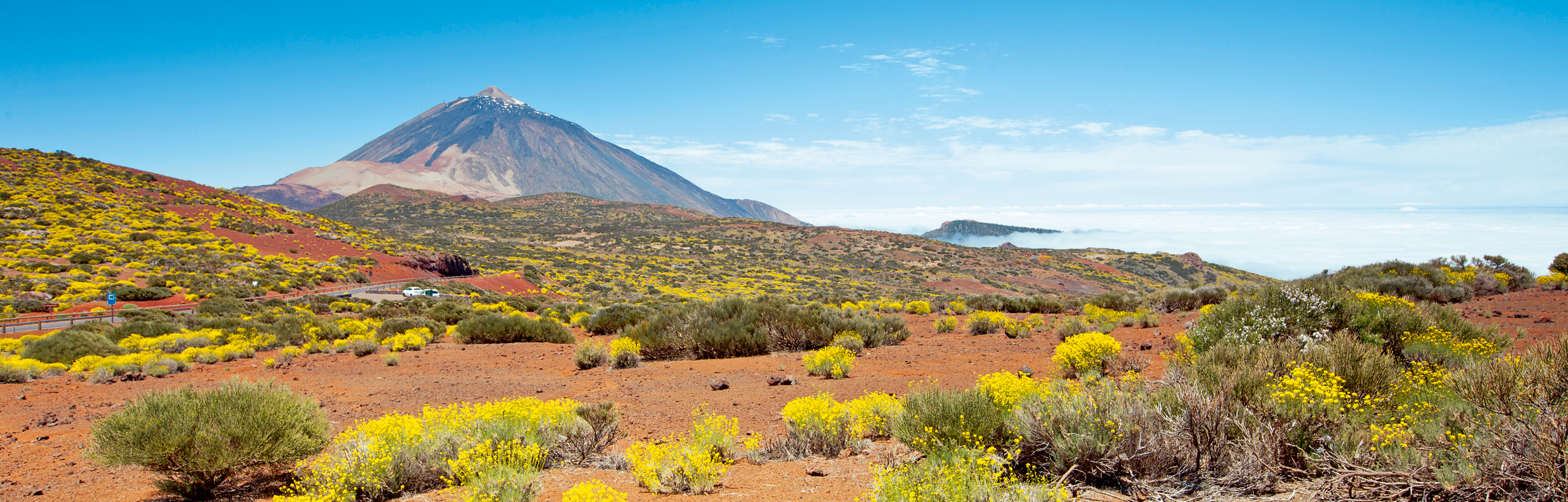 Réserver vos prochaines vacances à Tenerife avec Liege Airport